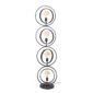 landelijke-vloerlamp-turn-around-xl-4-lichts-charcoal-2